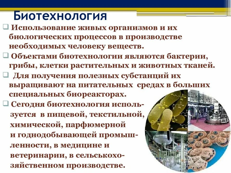 Микроорганизмы используемые в биотехнологии. Процессы биотехнологии. Живые организмы в биотехнологии. Объекты биотехнологии. Биологические процессы.