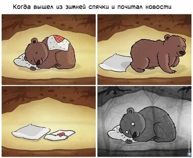 Медведь комиксы