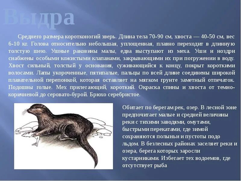 Животные и растения, занесенные в красную книгу нижегородской области