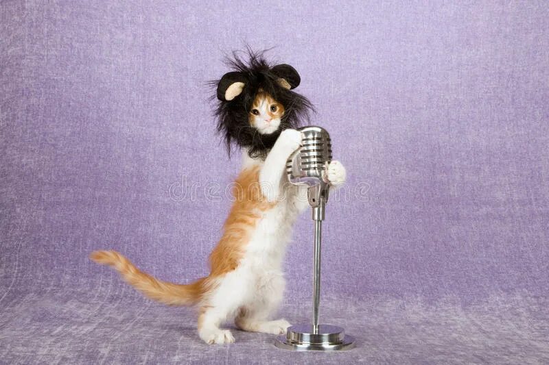 Кот поет в микрофон. Котик с микрофоном. Кошечка с микрофоном. Микрофон для котиков. УГАРНЫЙ кот с микрофоном.
