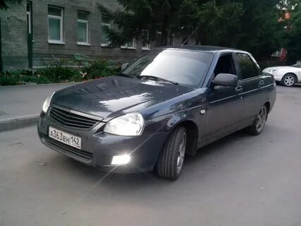 Цвет жимолость