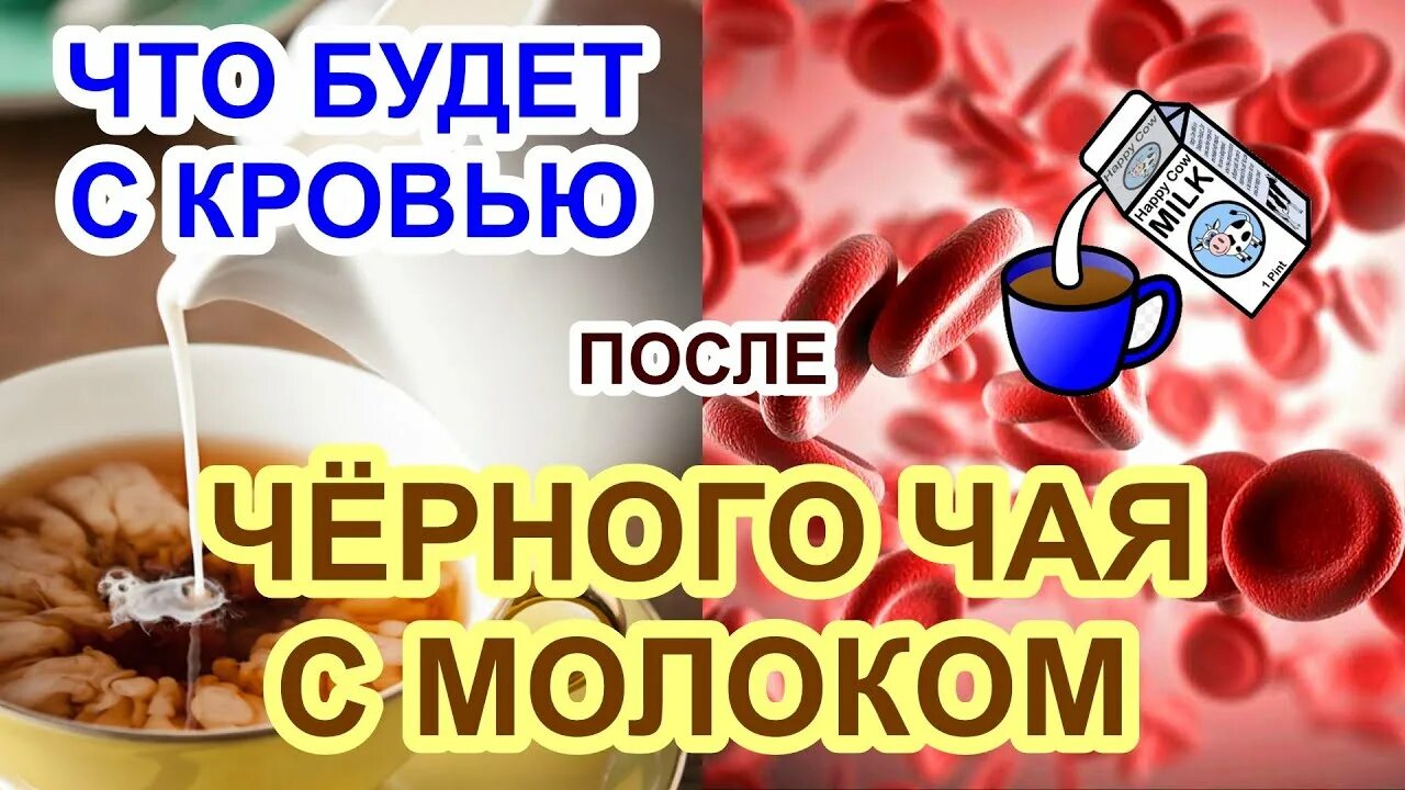 Blood milk. Молоко разжижает кровь?. Черный чай разжижает кровь. Кровь с молоком значение.