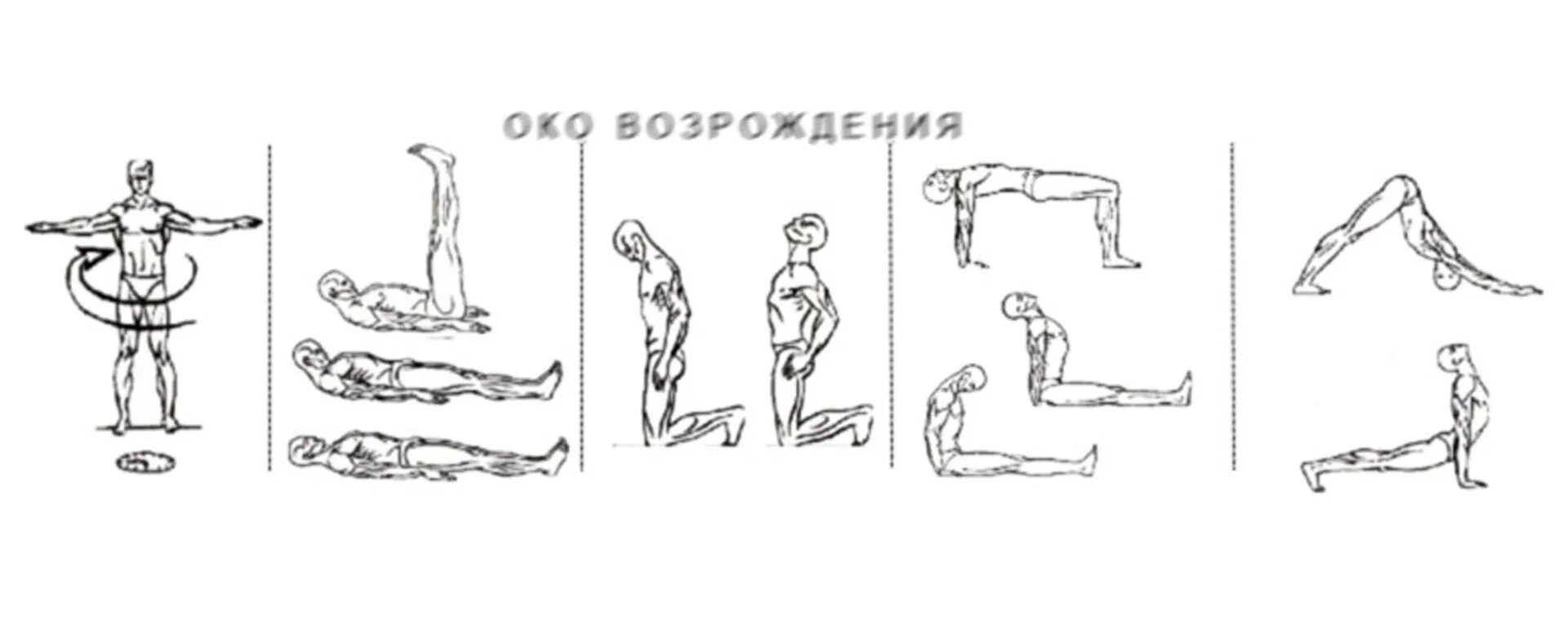 Упражнение пятерка. Питер Кэлдер гимнастика око Возрождения. Тибетская гимнастика око Возрождения. Питер Кэлдер пять тибетских жемчужин. 5 Тибетских жемчужин око Возрождения.