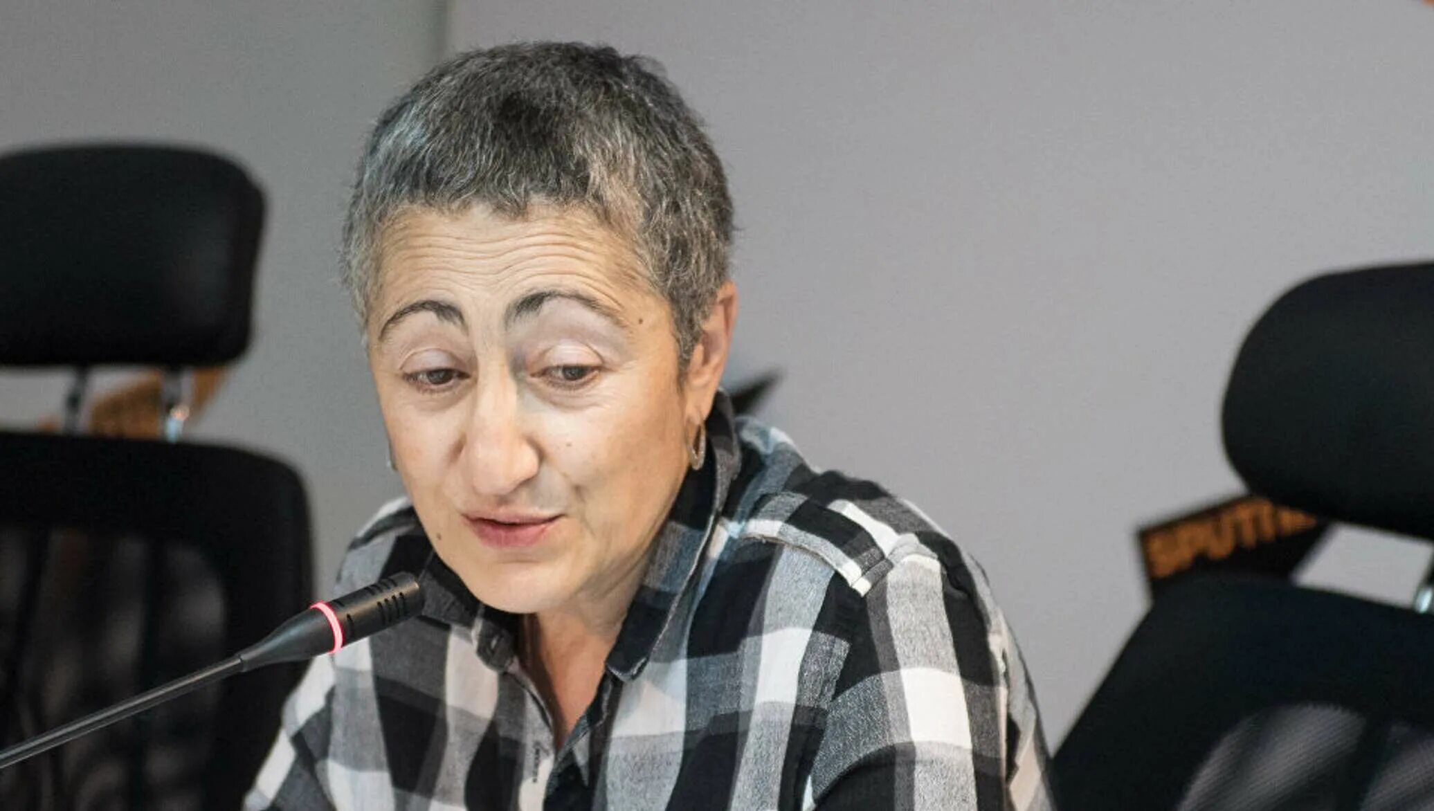 Карине геворкян политолог. Карине геворгян политолг. Политолог гаяне геворгян. Каринэ геворгян востоковед. Геворкян каринэ востоковед.