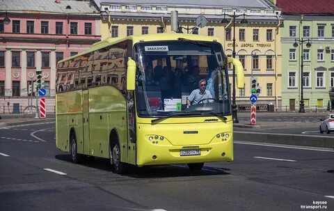 Автобус 134 спб