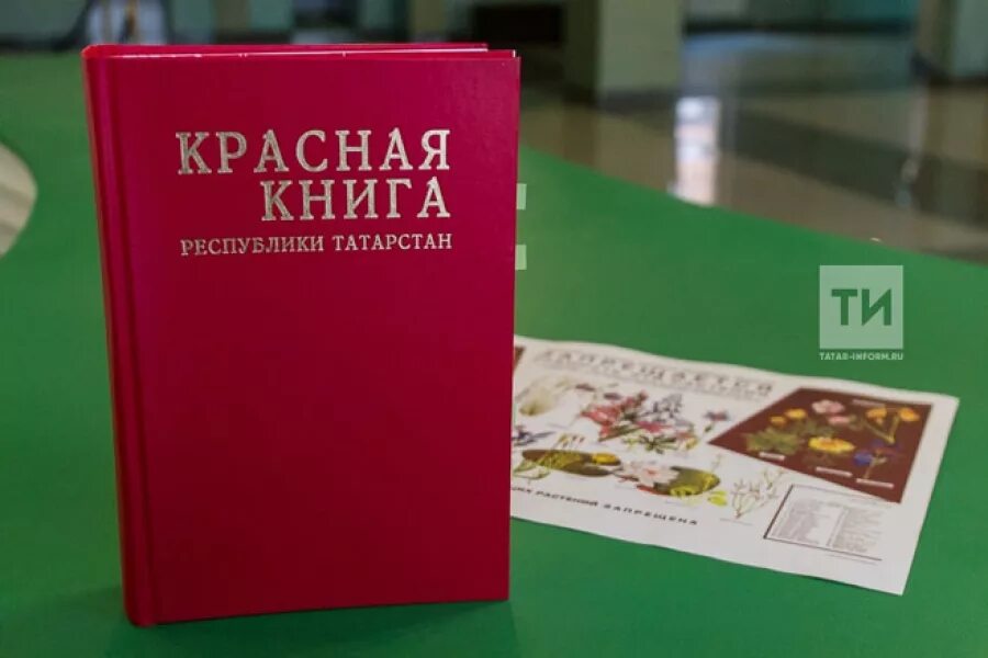 Ведение красных книг