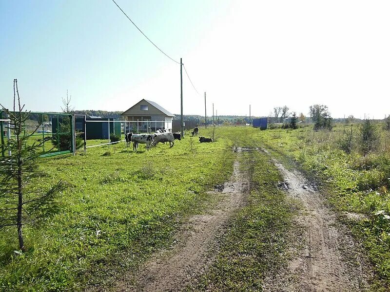Харино тульская область. Гайны пермский край. П. Деревня харино. А.