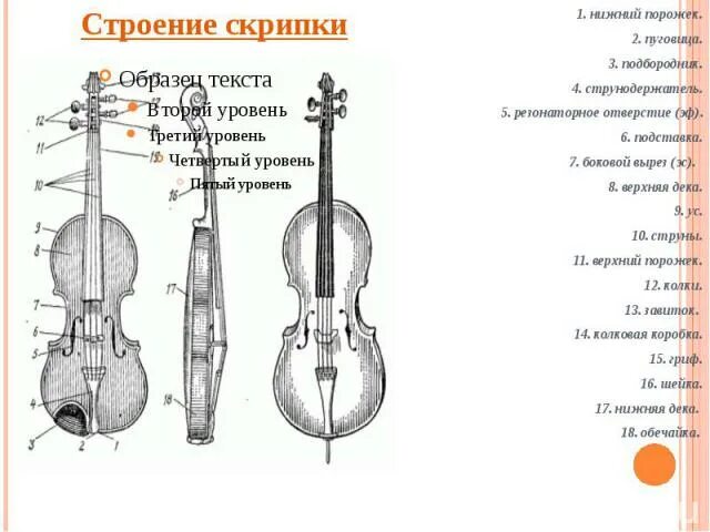 Проект 3 класс про скрипку Скрипка музыка 3 класс (87 фото)