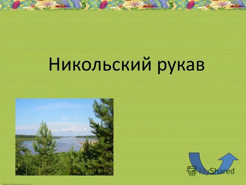 Вопросы по родному краю. Путешествие по родному краю введении.