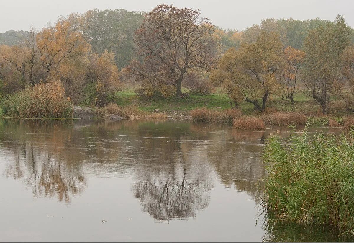 Тихие воды 1 часть