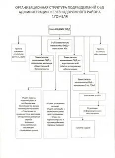 Структура овд