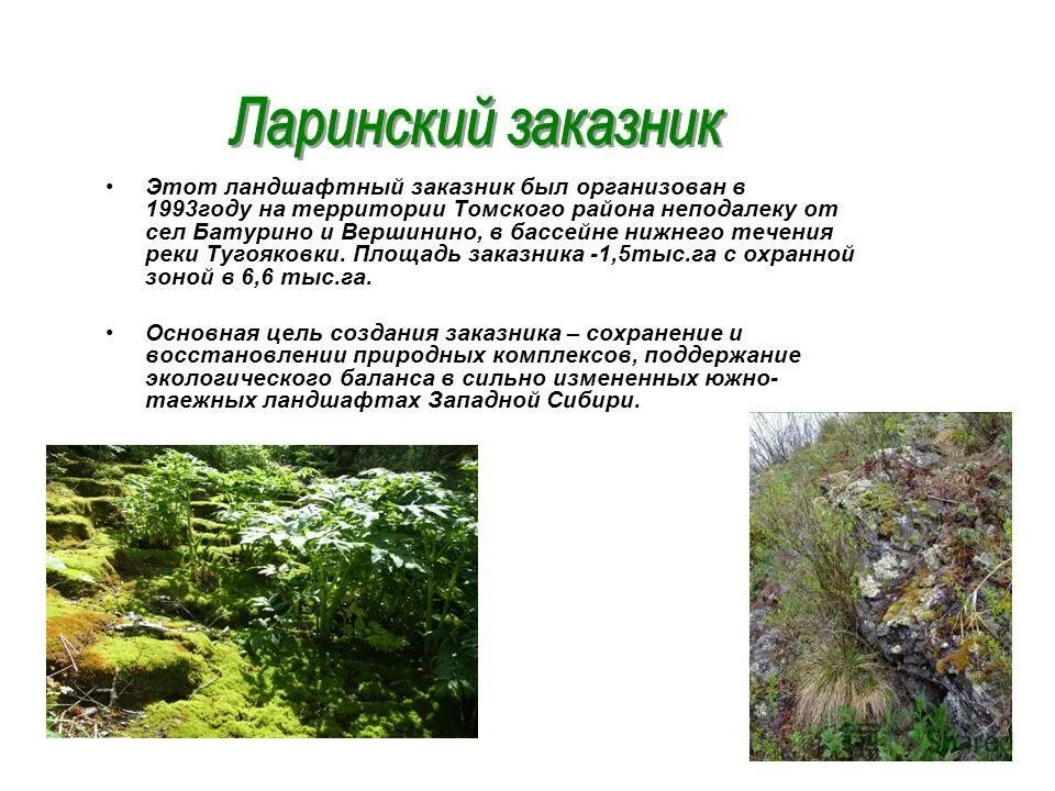 Ларинский ландшафтный заказник. Заповедники ставропольского края. Пустынский заказник нижегородской области презентация. Заповедники югры. Сообщение о заказнике.