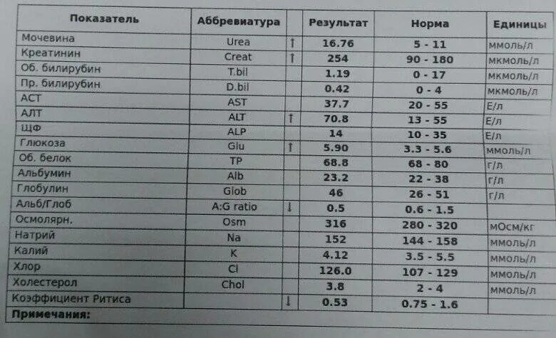 Аст у мужчин после 60. Норма показателей биохимического анализа крови у детей. Биохимическое исследование крови у детей норма. Показатели алт АСТ нормы для детей. Биохимия анализ крови норма у детей.