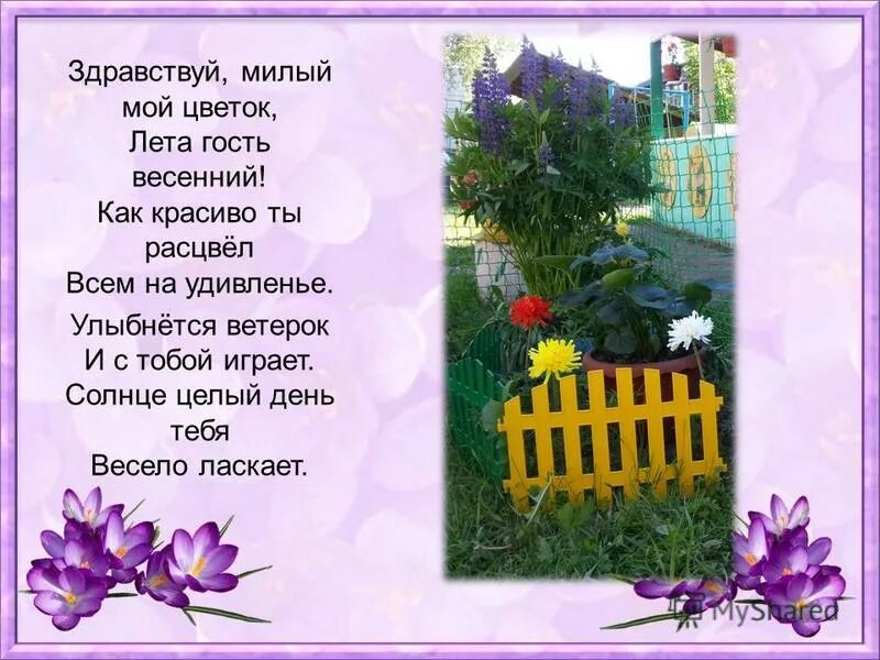 Посылка на день рождения шуточная женщине. Веселый стих про пенсию. Здравствуй милый дорогой. Стихи шуточные про женщин. Хорошие стихи для женщины.