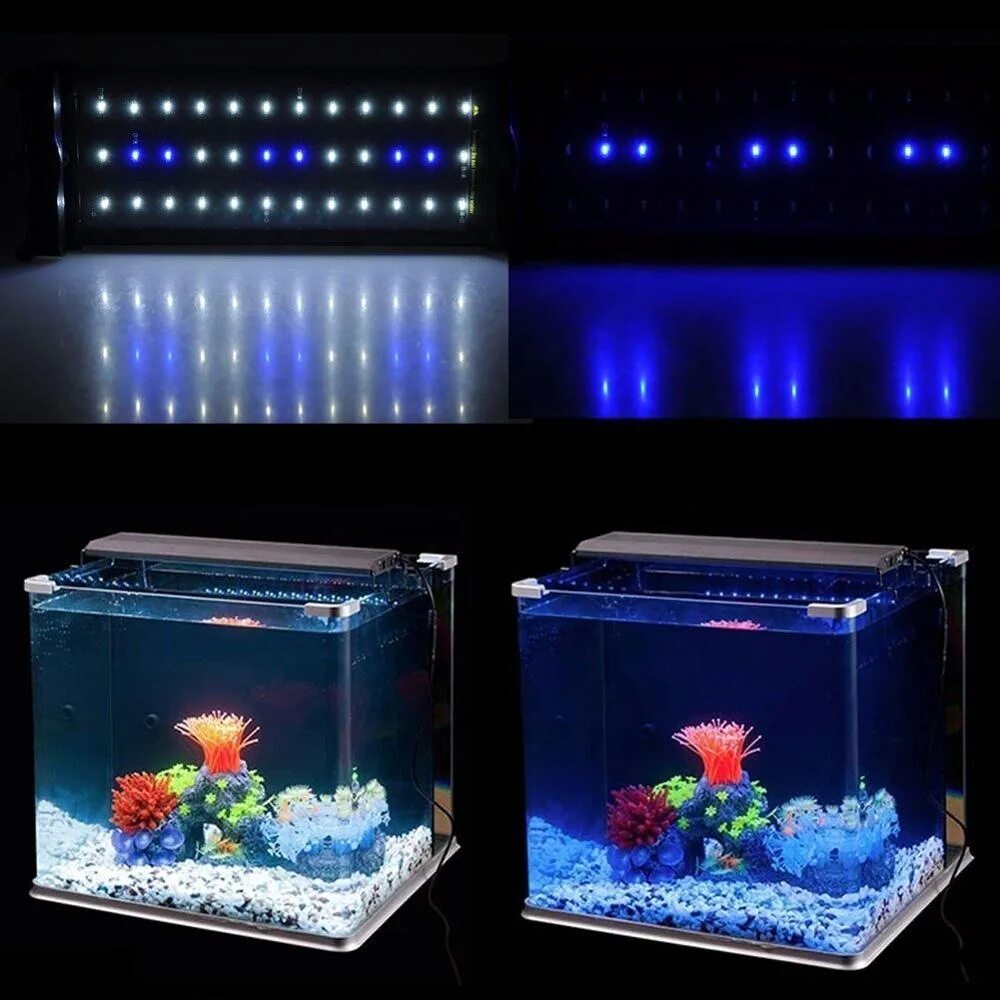 Светодиоды в аквариум 3wt. Светильник led моноблок 85 ватт для морского аквариума. Fish Tank лампа для аквариума т8 led 18 Вт. Barbus лампа светодиодная для аквариума синяя для аквариума 12 литров.