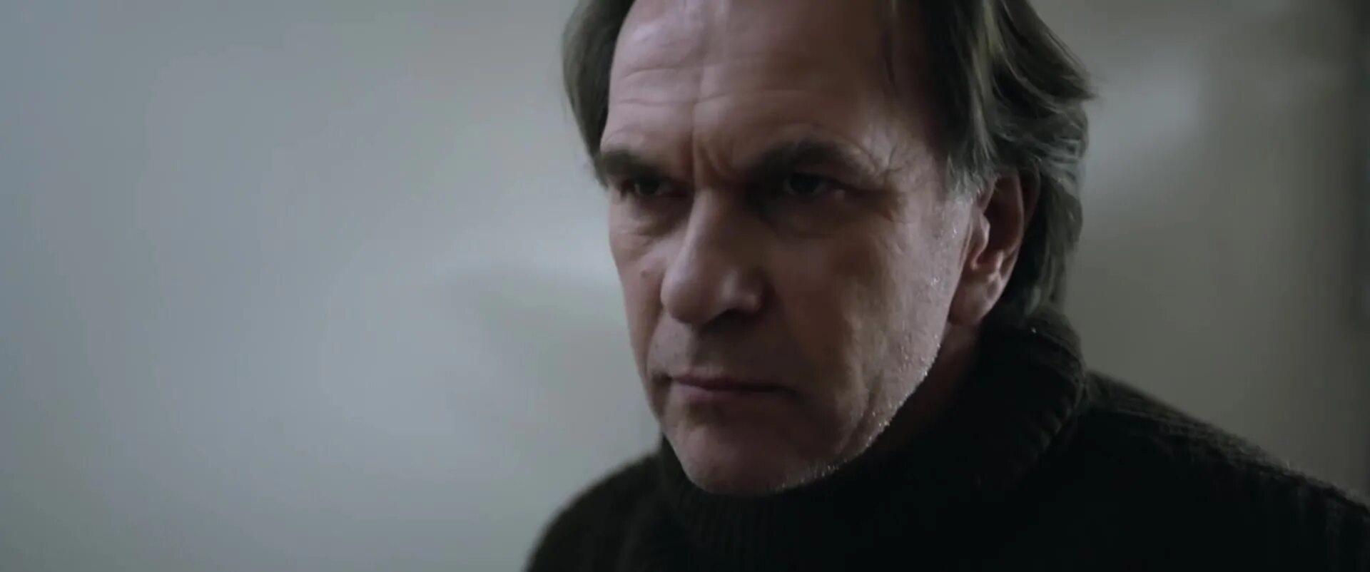 находка гуськов