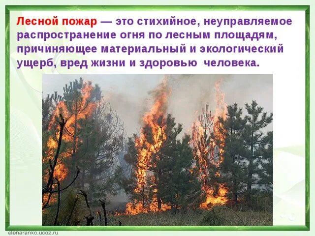 Ущерб от пожара третьим лицам. Последствия лесных пожаров. Влияние лесных пожаров. Экологические последствия лесных пожаров. Природная катастрофа пожар лесов.