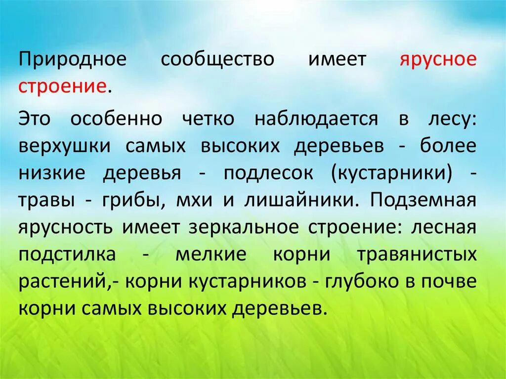 Природные сообщества. Сообщение о природном сообществе. Презентация на темупродные сообщества. Природное сообщество окружающий мир.