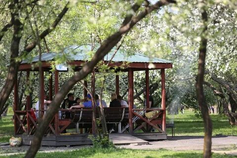 Тропаревский парк шашлыки