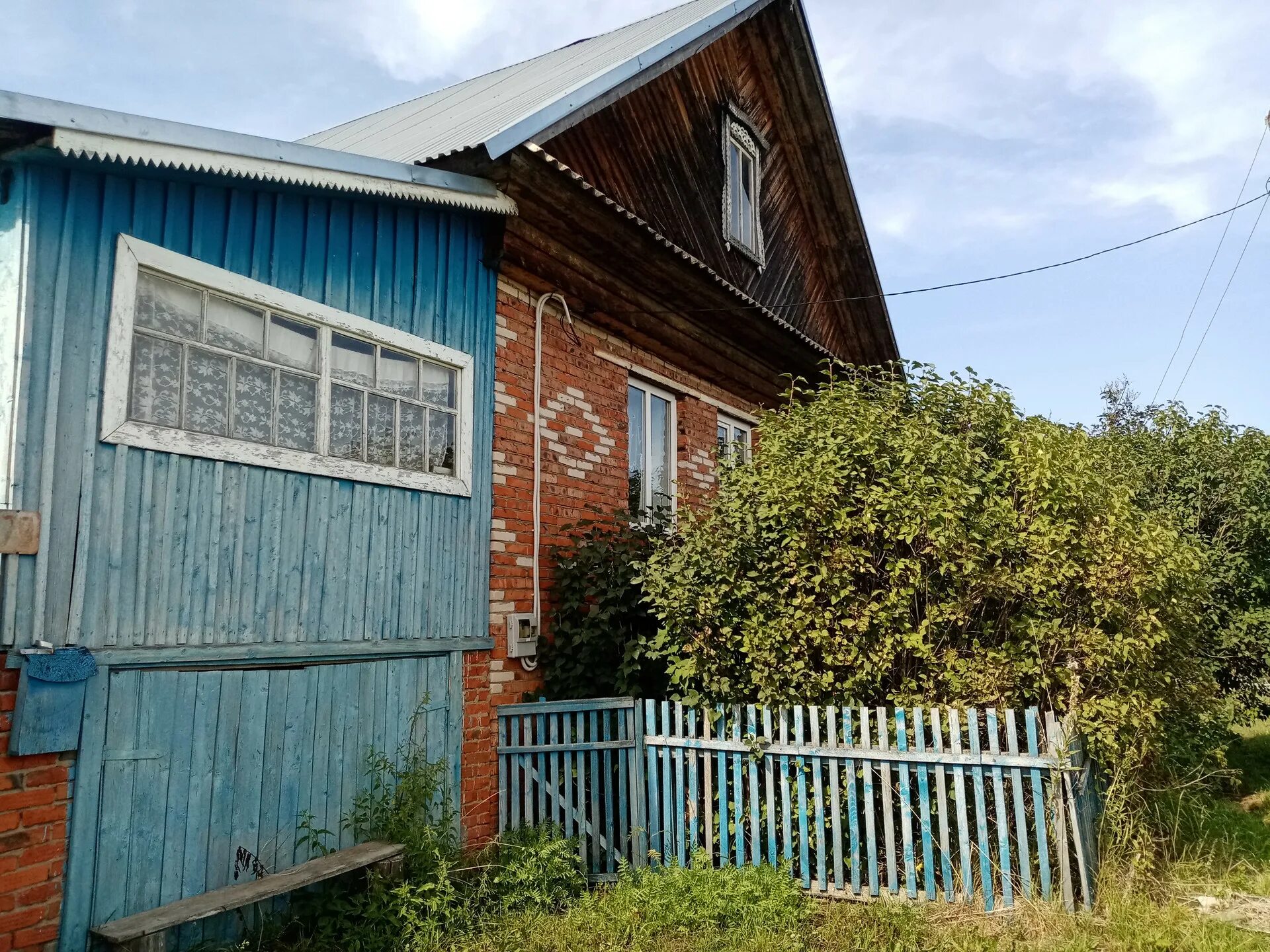 Курчум норья. Курчум норья