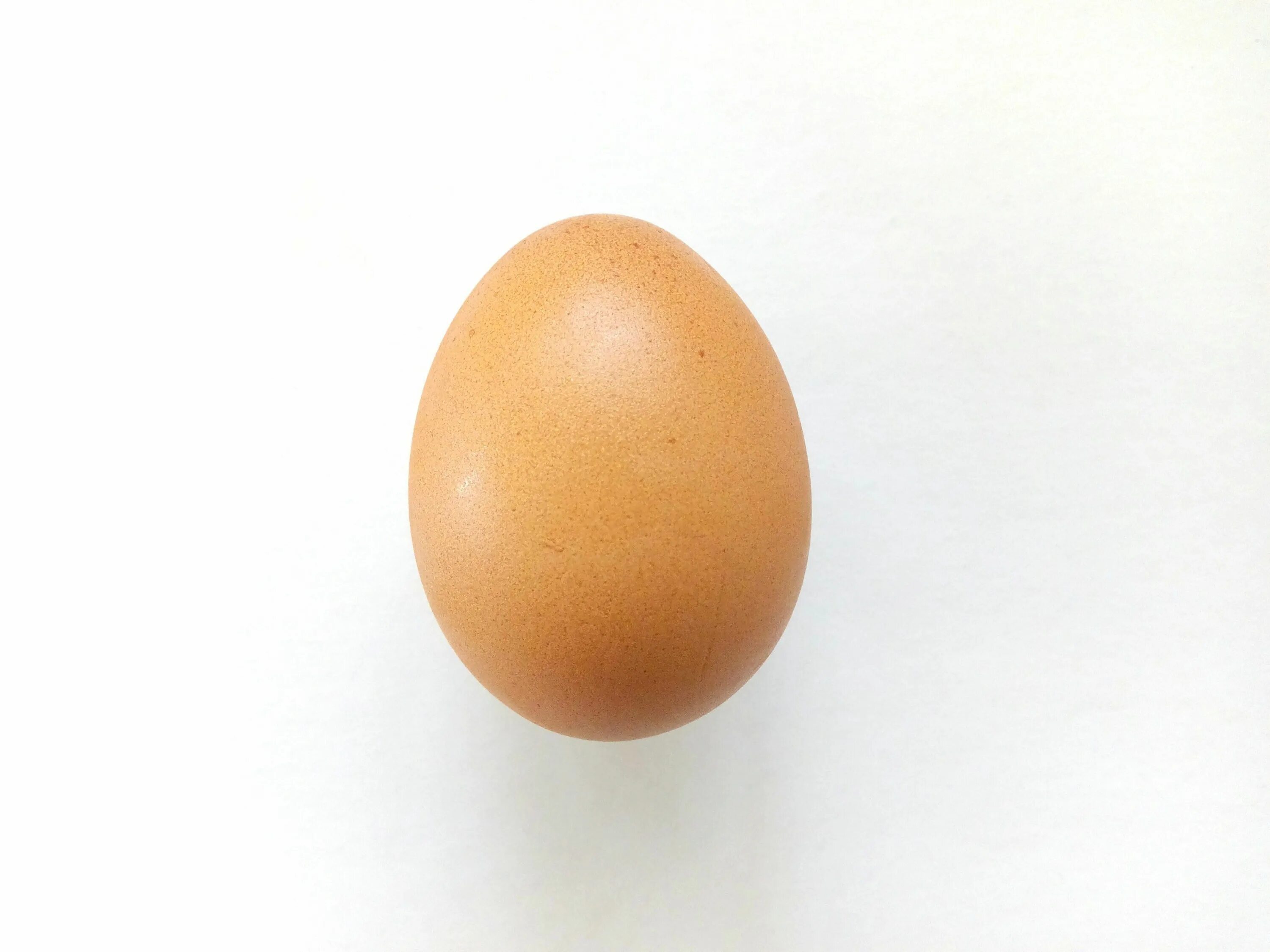 Яйцо гиф. Супер яйцо. Яйцо на белом фоне. Egg выпадение. Яйцо минимализм.