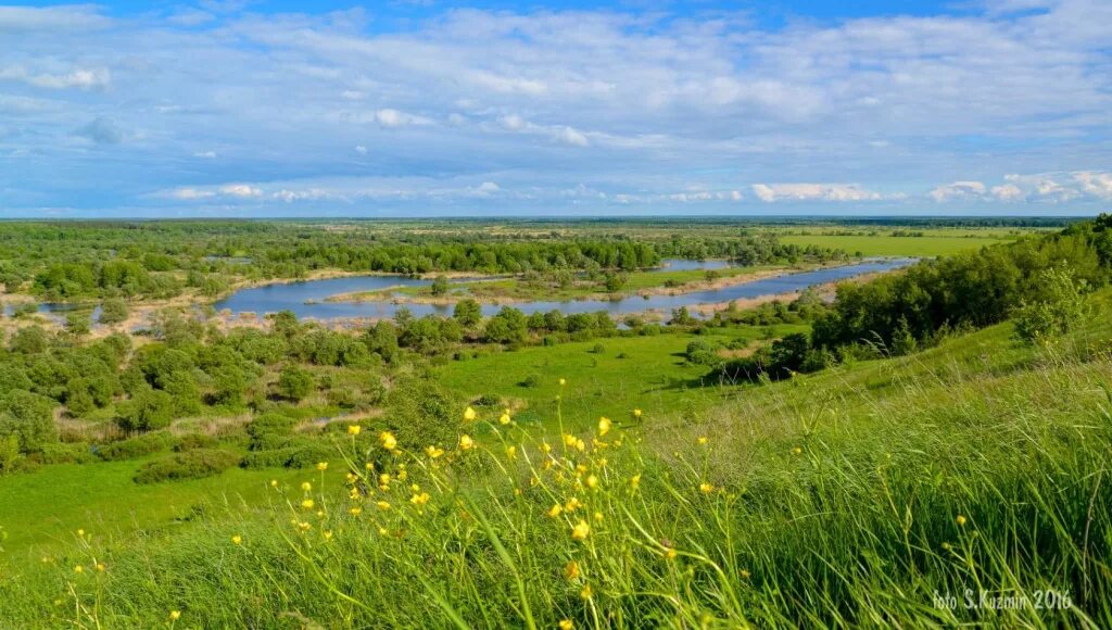 Какая природная зона в курской области. Государственный природный заповедник «Воронинский». Заповедник Тамбовской области заповедник "Воронинский" -. Воронинский заповедник Тамбовской области фото. Заповедники Тамбова и Тамбовской области.