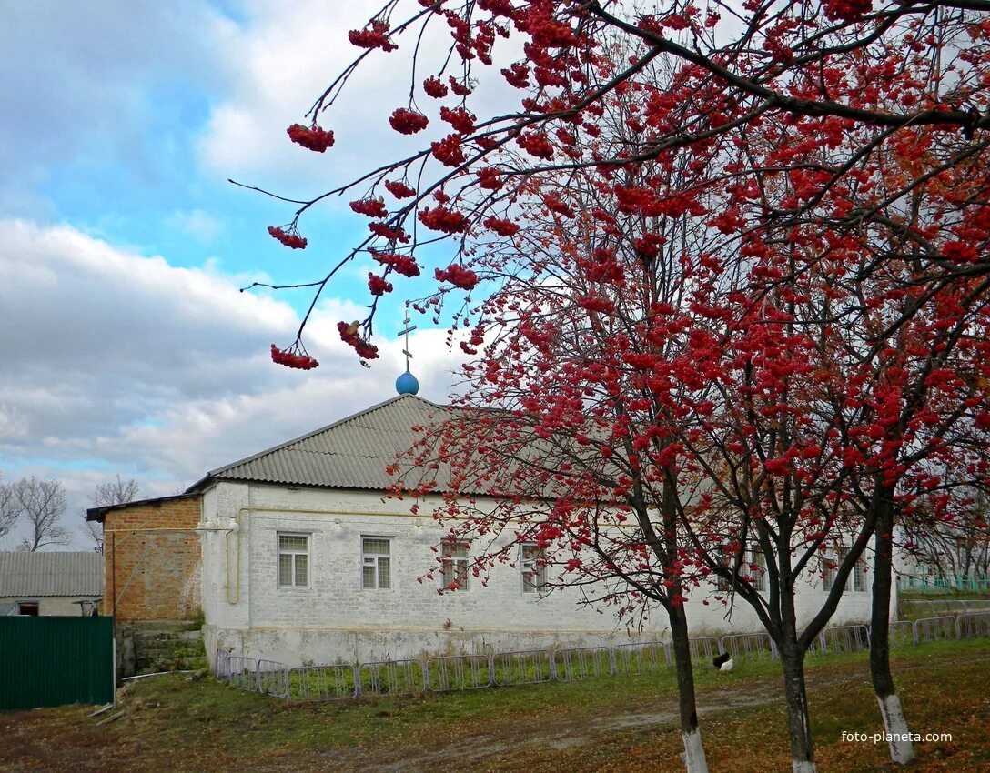 Храм Вознесения Господня Ивнянский район. Ивнянский район Белгородская. Село богатое Белгородской области Ивнянский район. Драгунка Белгородская область Ивнянский район. Погода вышние пены ракитянского района