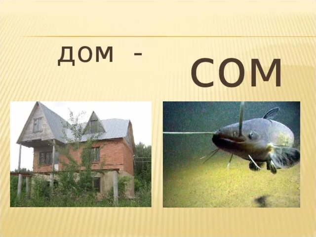 Дой сом домашнее таikd. Дом для сома. дом сом. слово дом. дом для сомиков.