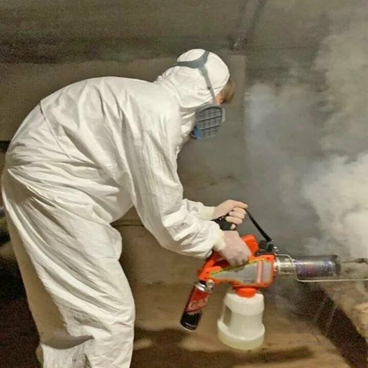 Дератизация мкд. Дератизация мкд. Уборка мкд картинки. Дератизация мкд. Дезинфекция мест общего пользования в мкд картинки.