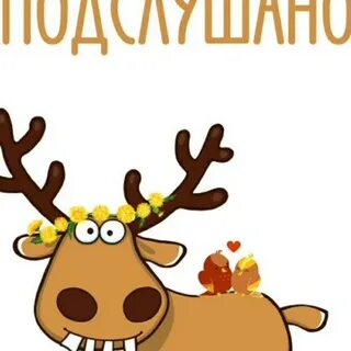 Подслушано починки