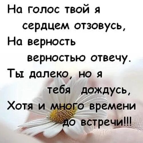 Нежный голос ответ. Я тебя дождусь. Я дождусь тебя любимый стихи. Я тебя подожду стихи. Твой голос стихи мужчине.