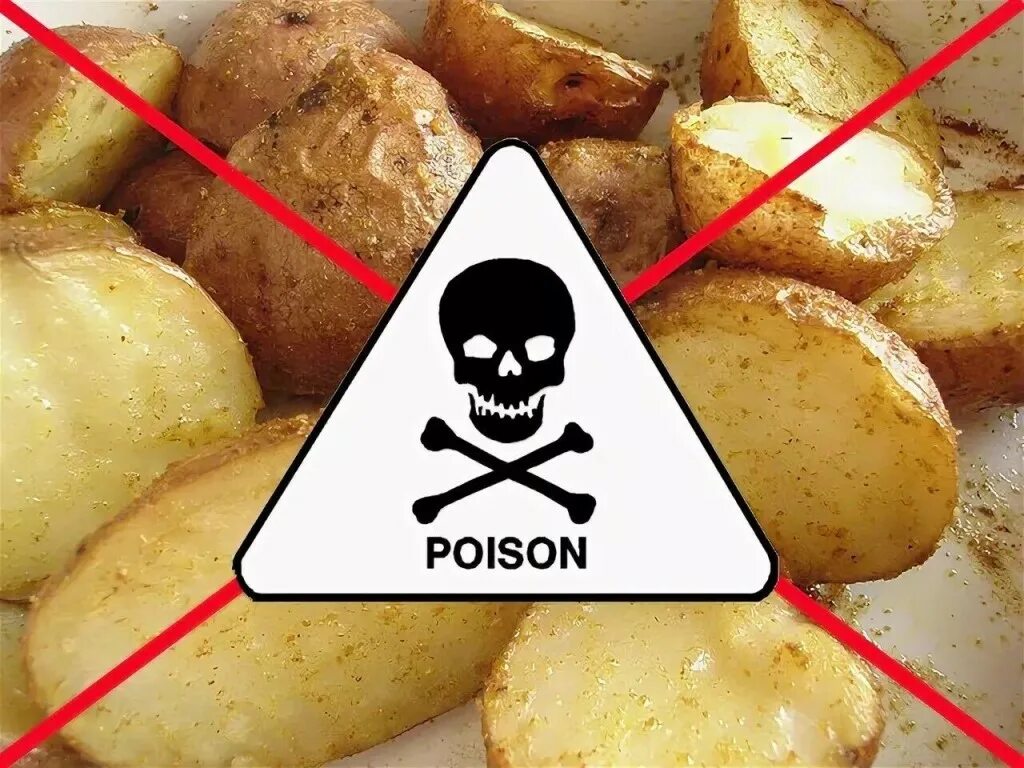 Poisonous potato update. Отравленная картошка. Отравление картофелем. Злая картошка.