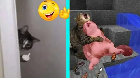 Приколы с озвучкой без мата