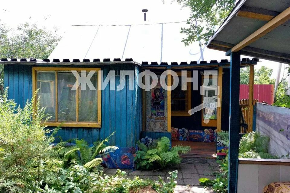 Дача строитель новосибирск. Дача фото. снт строитель. дачи участки аэропорт-2. советские актеры фото на даче.
