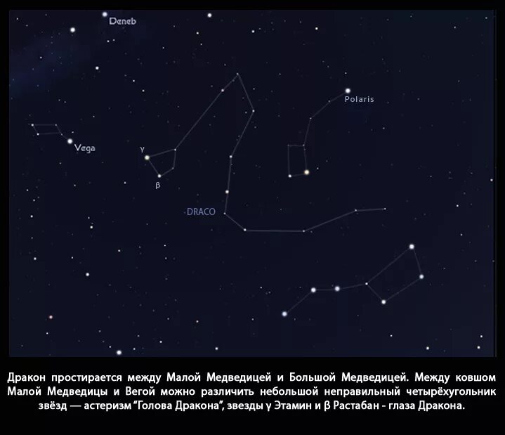 Можно ли увидеть малую медведицу. Звезды рядом с большой медведицей. Звезды рядом с малой медведицей. Большая Медведица звезды рядом. Звезды рядом с большой медведицей названия.