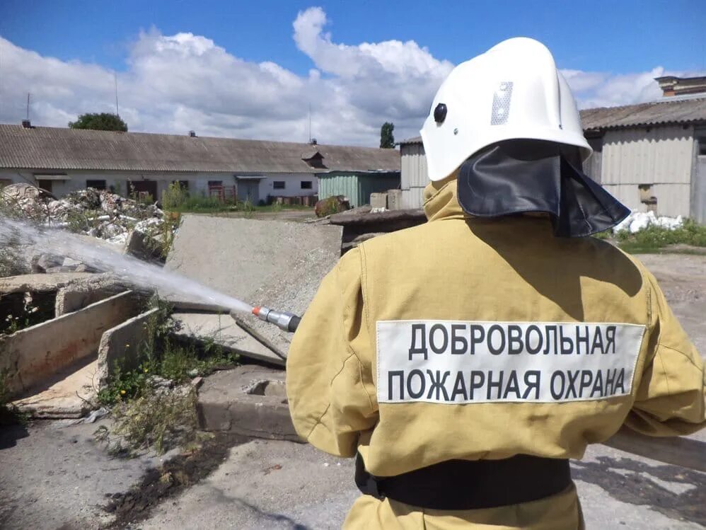 Фз о добровольных пожарных