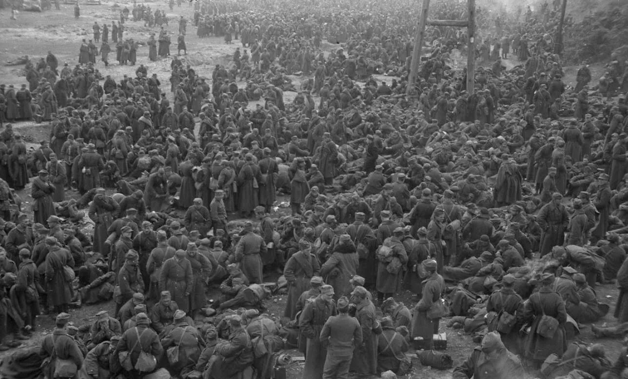 Вторжение в польшу. Польских пленные СССР 1939. Немецкие солдаты в Польше 1939 военнопленные. Польские военнопленные 1939. Пленные поляки 1939.