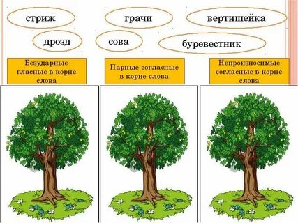 Корень в слове грачи