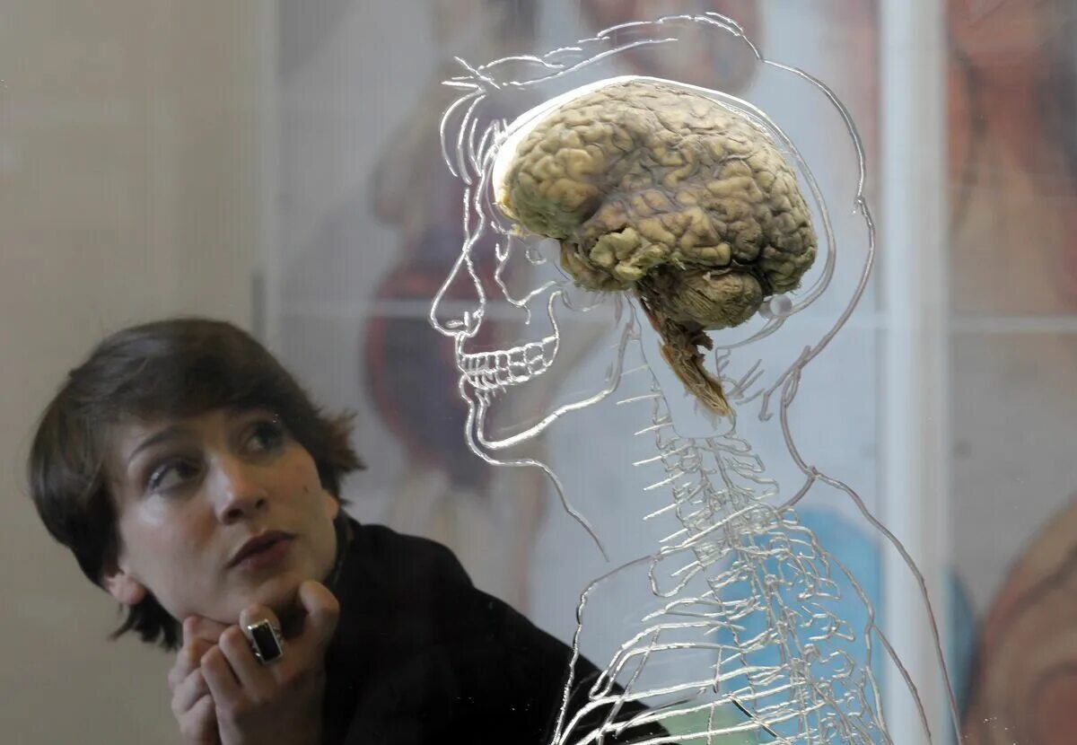 This Doctor Made a Blind Man See and an Autistic Boy Speak - Bloomberg