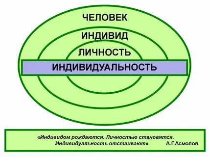 Понятие личность индивид развитие
