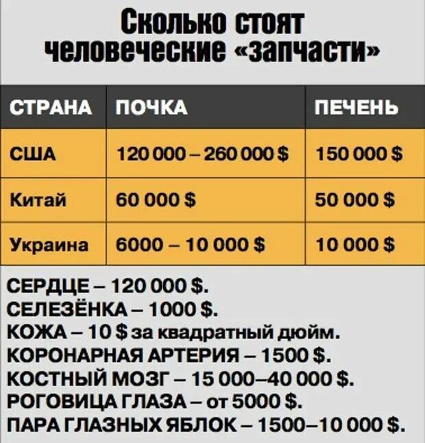 За сколько продают людей. Сколько стоит почка. Сколько стоит почка человека. Сколько стоит ИТ почка. Расценки на органы человека на черном рынке.