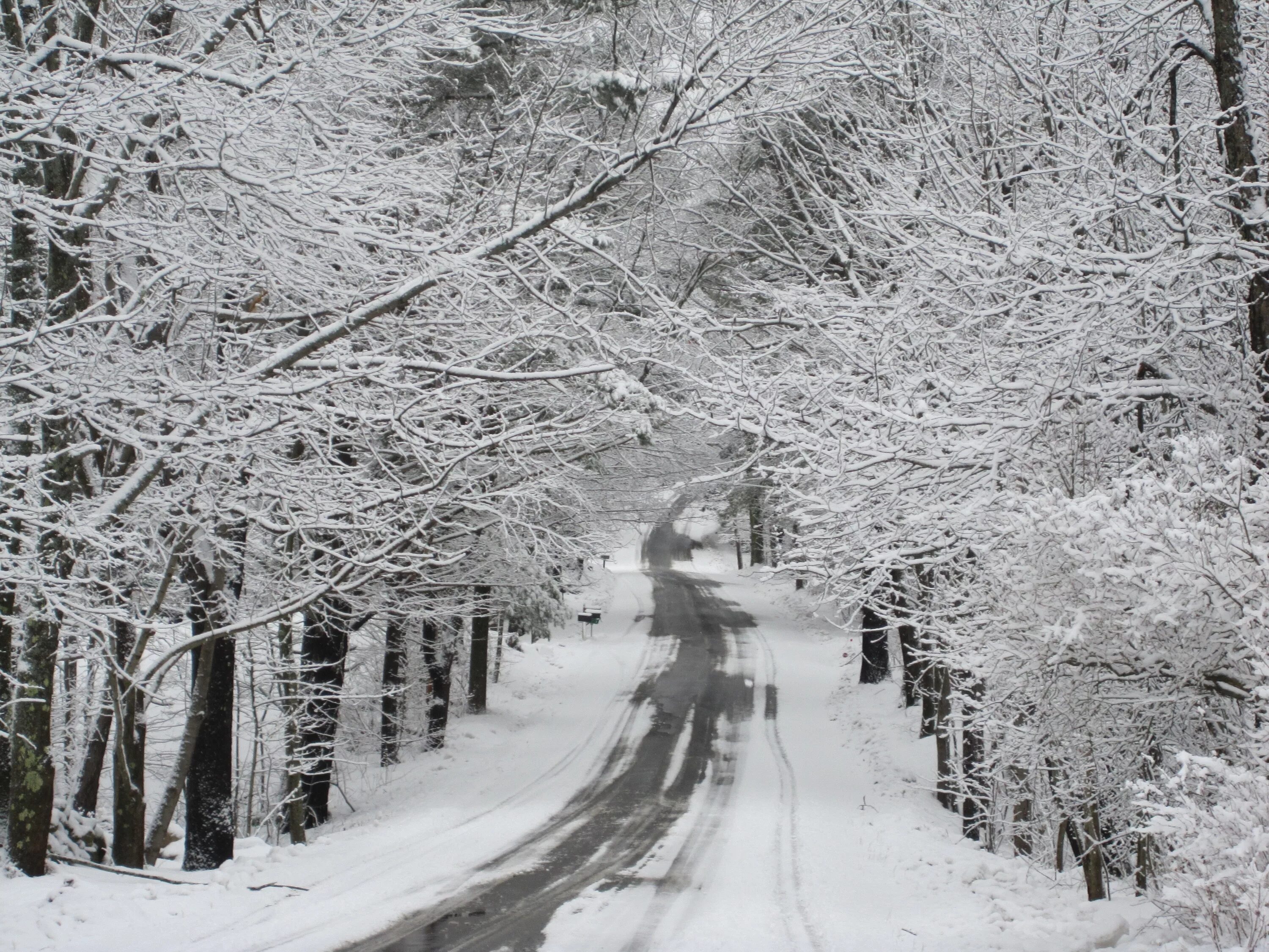 Файл winter jpg был. Вайбовая зима 2021. Файл winter jpg был. Файл winter jpg был. Siberia картинки.