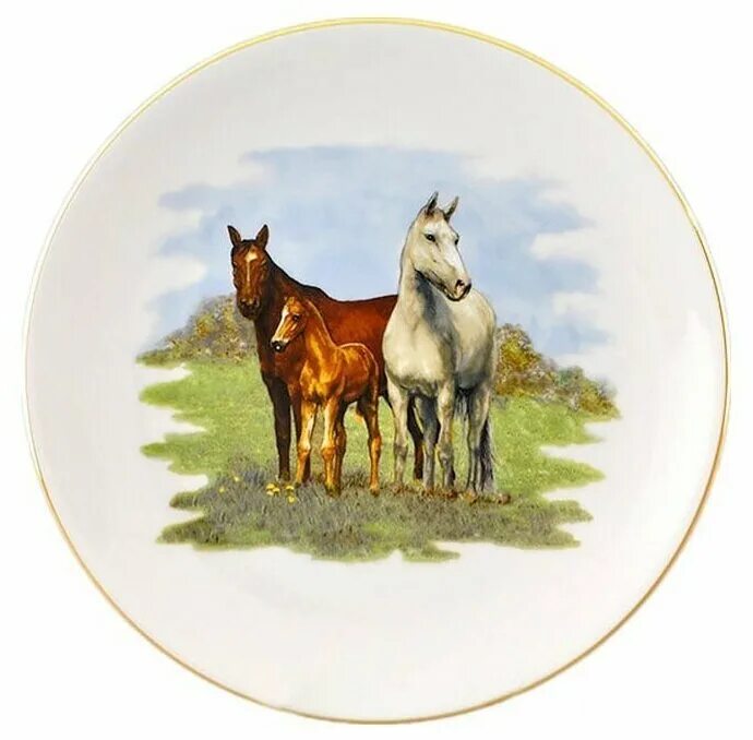 Тарелка лошадь. Тарелка Leander 1946 лошади. Декоративные тарелки с лошадьми. Тарелка настенная лошадь. Настенные тарелки с собаками.