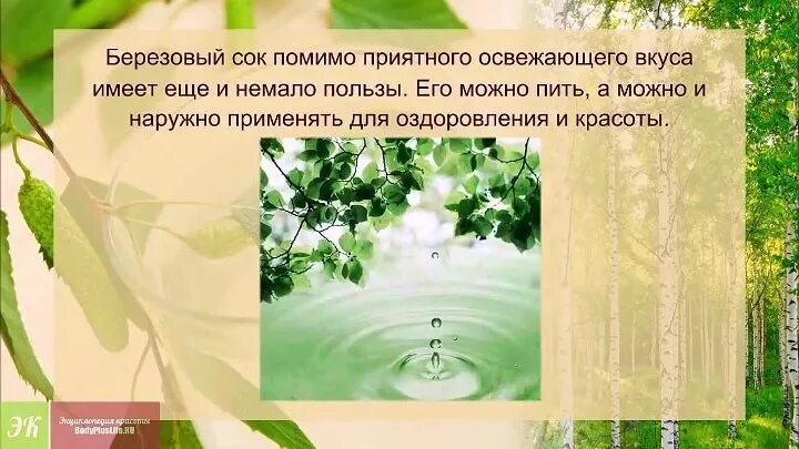 Польза березового сока сообщение 6 класс биология. Берёзовый сок. Польза березового сока. Чем полезен березовый сок. Состав березового сока.