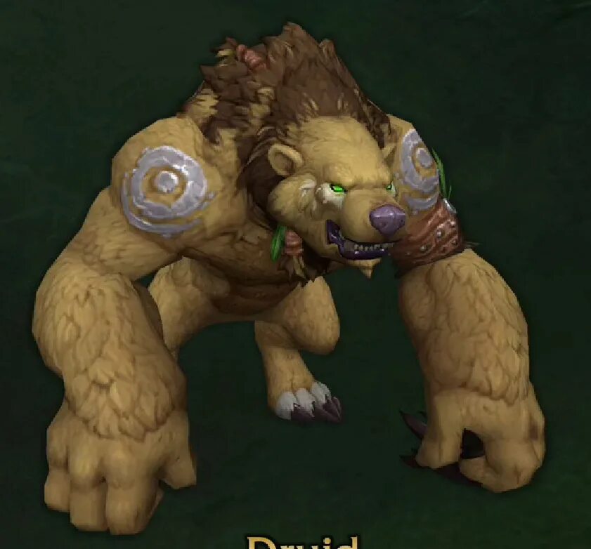 Друид кабан. Bear forms. Wow друид медведь. Wow druid guardian. Bear forms.
