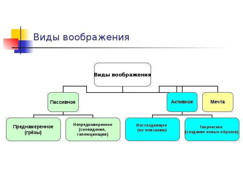 Форма образ воображение. Виды воображения. Классификация воображения. Основные виды воображения. Виды воображения таблица.