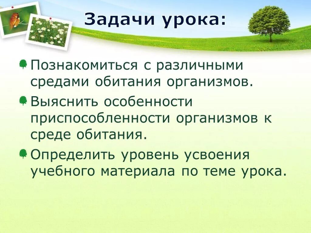 Задания по теме среда обитания. Среды обитания организмов. Задача на среды обитания организмов. Презентация 3 среды обитания. Среды обитания организмов задание.