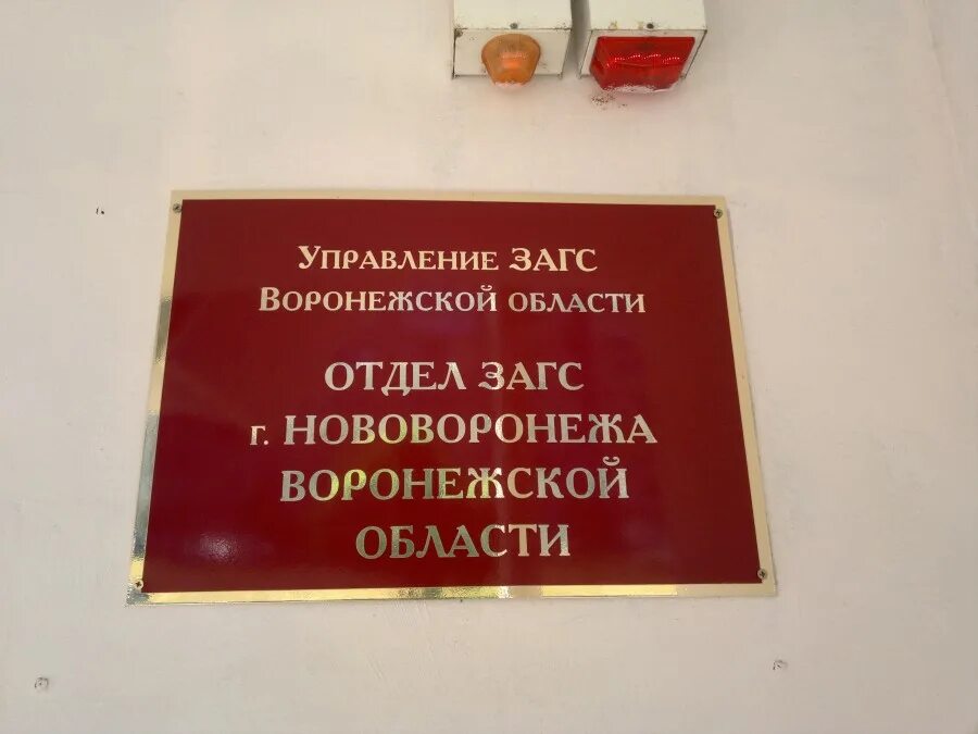 загс советского района воронеж. загс на олеко дундича воронеж. советский загс воронеж. центральный загс воронеж пл ленина 11. левобережный загс воронеж.