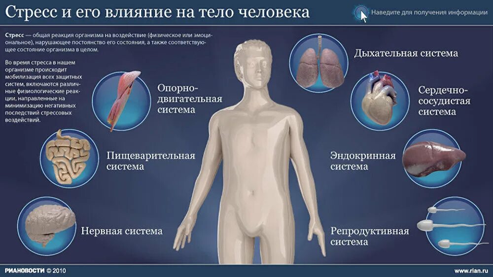 Воздействие вызывающее стресс. Влияние стресса на организм. Стресс и его влияние на человека. Влияние стресса на здоровье. Влияние стресса на человека.