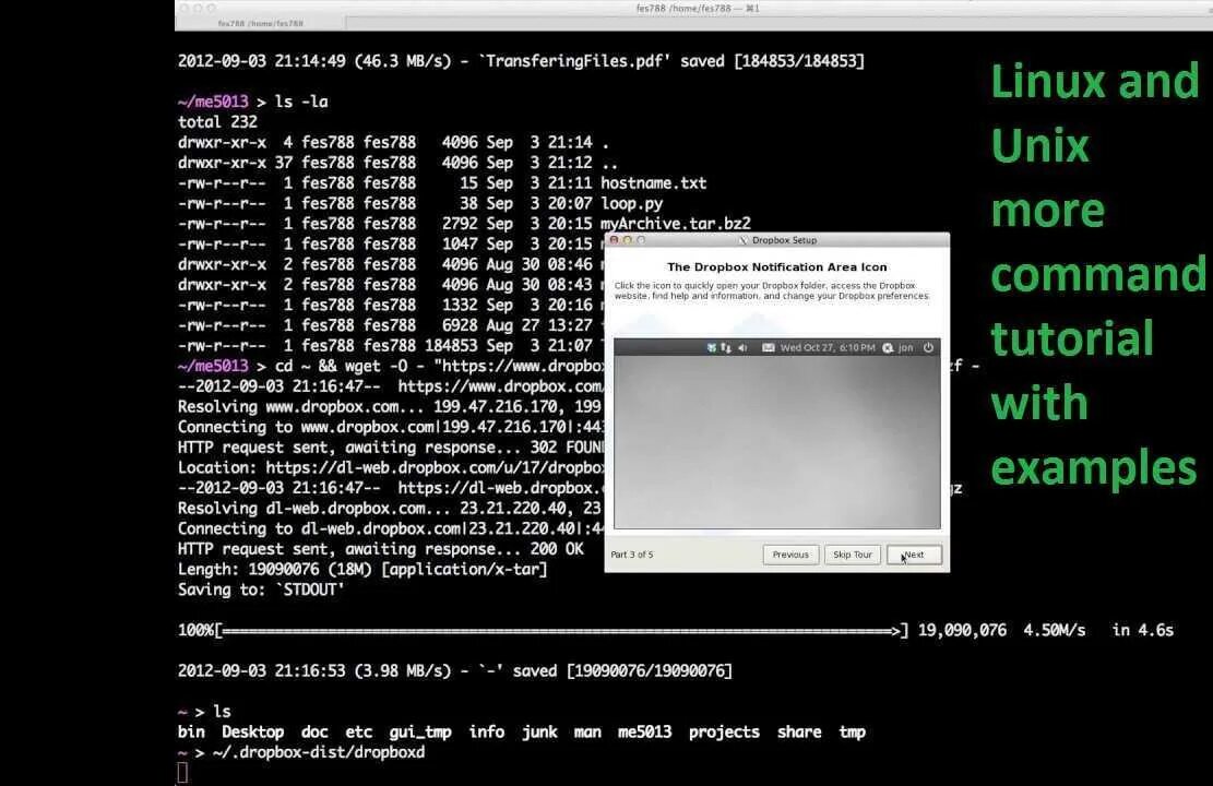 Mv linux